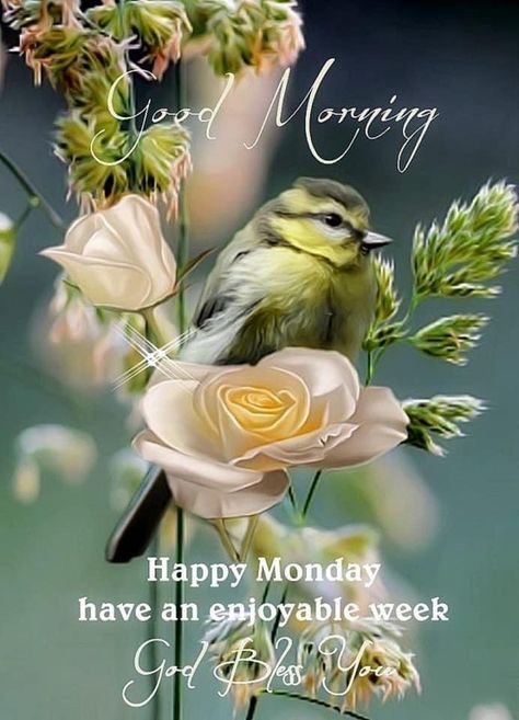 Greetings English, Monday Good Morning, Monday Greetings, Good Morning Monday Images, Happy Monday Morning, Today Is Monday, Monday Morning Quotes, Deep Meaningful Quotes, Good Morning Happy Monday