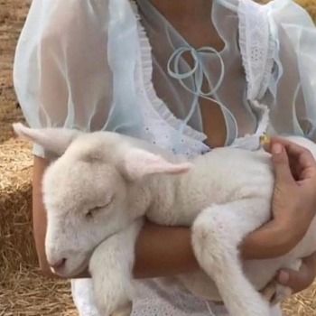 Lamb Coquette, Daughter Aesthetic, Random Vibes, Baby Lamb, Hockey Sticks, Southern Gothic, Vintage Americana, Farm Girl, Country Girls