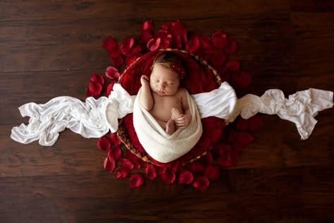 Valentines Day Newborn Pictures, Valentine Newborn Pictures, Valentine’s Day Newborn Photos, Newborn Baby Valentines Photoshoot, Valentines Newborn Pictures, Newborn Valentine Pictures, Valentines Newborn, Valentines Baby Photos, Baby Fashion Girl Newborn