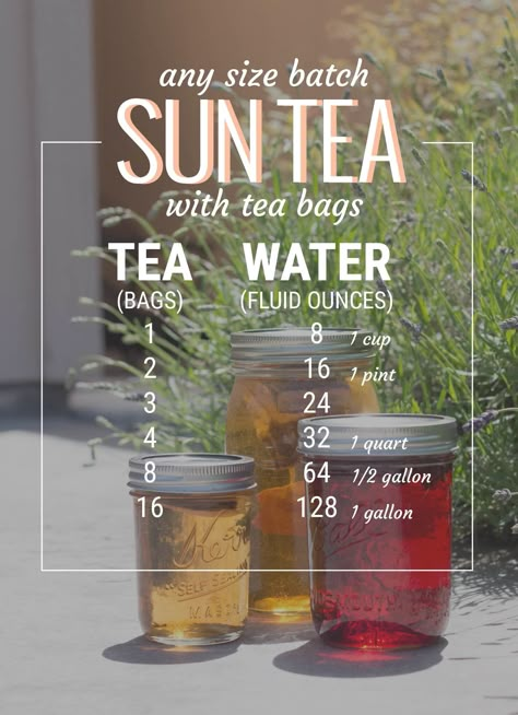 sun tea guide for tea bags // picklejarstudios.com Sun Tea Recipes, Tea Guide, Sun Tea, Iced Tea Recipes, Pickle Jars, Eat Better, Rachael Ray, Brewing Tea, Tea Blends