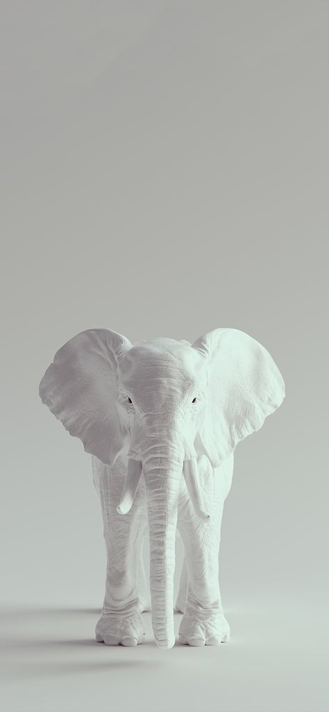 an amazing picture idea to put on you’re phone 🤍 #picture #aesthetic Wallpaper Elephant Iphone, White Elephant Aesthetic, Elephant Asthetic Picture, Elephant Aesthetic Wallpaper, Elephant Wallpaper Iphone, Elephant Phone Wallpaper, Elephant Wallpaper, Vision Board Photos, Lavender Aesthetic