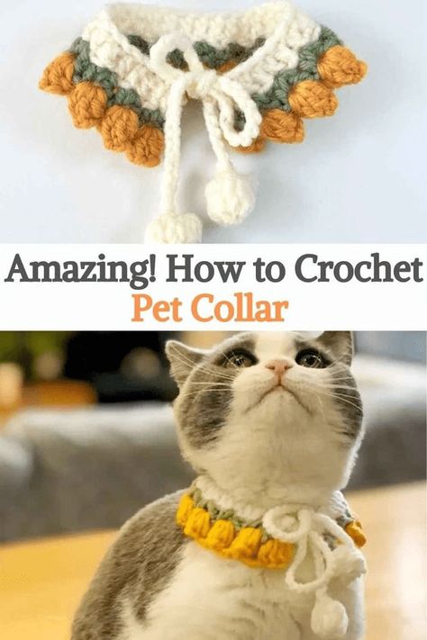 Cat Collar Pattern, Crochet Pet Collar, Crochet Cat Collar, Crochet Pet, Crochet Decor, Crochet Sewing, Knit Projects, Mode Crochet, Pola Amigurumi