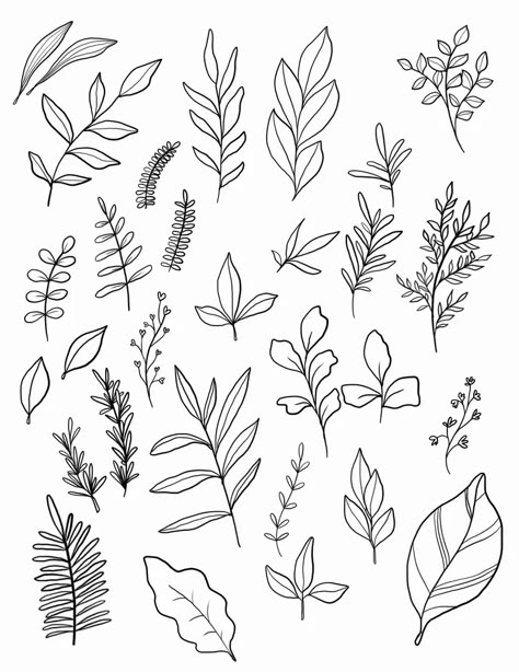 Leaf Tracing, Herbs Embroidery Patterns, Herb Line Drawing, Simple Botanical Embroidery Pattern, Pronoun Badges, Bullet Journal Leaves, Draw Leaves, Plant Doodles, How To Draw Flowers