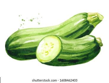 Watercolor Veggies, Zucchini Vegetable, Green Zucchini, Watercolor Green, Veggie Delight, Background Watercolor, Food Drawing, Drawing Poses, Marketing Materials