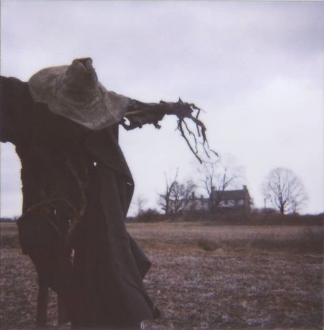 A heady brew of dark history, haunted folklore, rusty shovels, slow flown' molasses, crackly radio... Halloween Tumblr, Idle Game, Aesthetics Tumblr, Starry Eyes, Halloween Cake, Southern Gothic, Halloween Tags, Aesthetic Tumblr, Halloween Aesthetic