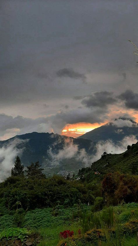 Kodaikanal Aesthetic, Sumber Daya Alam, Kodaikanal, Mountains Aesthetic, Best Photo Background, Amazing Nature Photography, Pretty Landscapes, Beautiful Locations Nature, Aesthetic Photography Nature