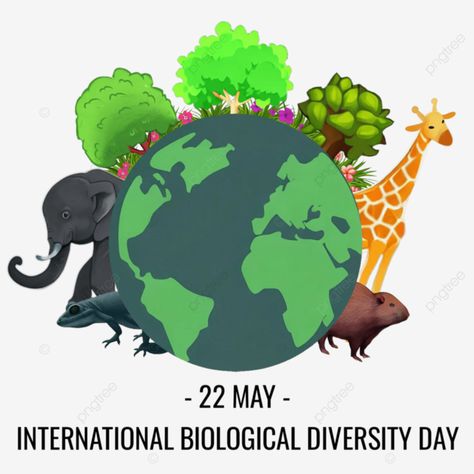 Biodiversity Day, Biological Diversity, International Days, Cartoon World, International Day, Photo Backgrounds, Clipart Images, Png Transparent, Png Clipart