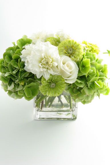 Hydrangea Flower Arrangements, White Flower Arrangements, Green Hydrangea, Fresh Flower Delivery, Beautiful Flower Arrangements, White Hydrangea, Deco Floral, Wedding Flower Arrangements, Hydrangea Flower