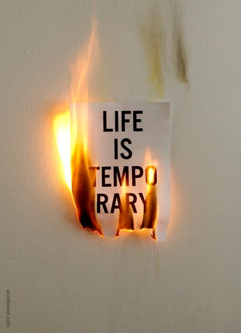 Remember that: Earthly life is temporary. | "For all our days ebb away under Your wrath;  we end our years like a sigh.  Our lives last seventy years  or, if we are strong, eighty years.  Even the best of them are struggle and sorrow;  indeed, they pass quickly and we fly away.  Who understands the power of Your anger?  Your wrath matches the fear that is due You.  Teach us to number our days carefully  so that we may develop wisdom in our hearts." - Psalm 90:9-12 Frank Zhang, Fear Of Flying, Leo Valdez, Typography Quotes, A Sign, On Fire, Percy Jackson, Words Quotes, Life Lessons