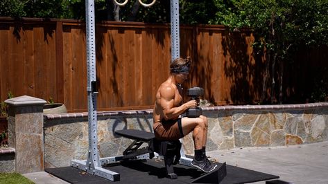 Double Leg Seated Calf Raise Seated Good Morning Exercise, Seated Good Morning, Best Calf Stretches, Good Morning Exercise, Good Mornings Exercise, Morning Exercise, Calf Stretches, Box Jumps, Calf Raises