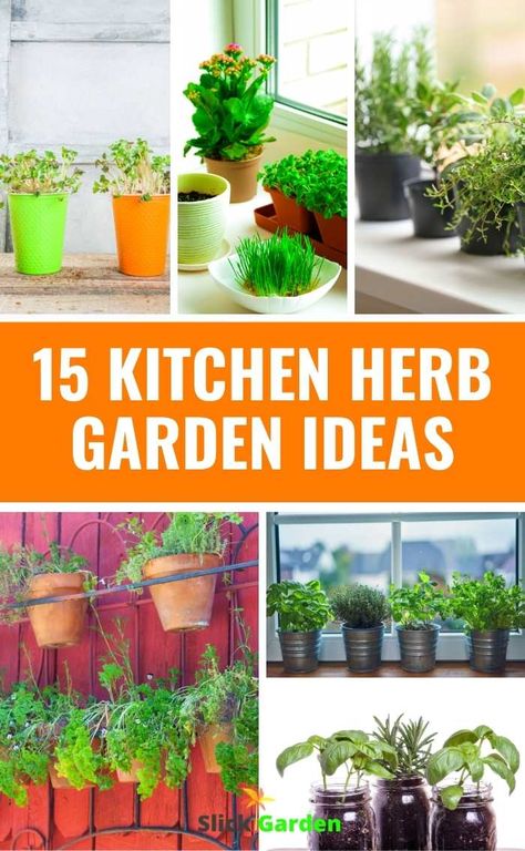 15 KITCHEN HERB GARDEN IDEAS Herbs add taste to your favorite dishes and you can decorate your sandwiches, burger, pizza, and salad with them. Your dishes will not complete without the addition of fresh herbs. It is amazing to get herbs in your kitchen where you cook your meal. #herbgarden #herbs #growherbs Kitchen Herb Garden Ideas, Window Box Herb Garden, Grow Thyme, Kitchen Rich, Pizza And Salad, Herb Planting, Growing Herbs At Home, Apothecary Kitchen, Windowsill Herb Garden