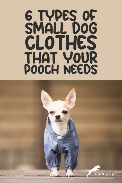 Small Dog Winter Coat, Types Of Small Dogs, Tiny Dog Clothes, Small Dog Clothes Patterns, Best Small Dogs, Small Dog Coats, Crafting Corner, Small Dog Sweaters, Tiny Dog