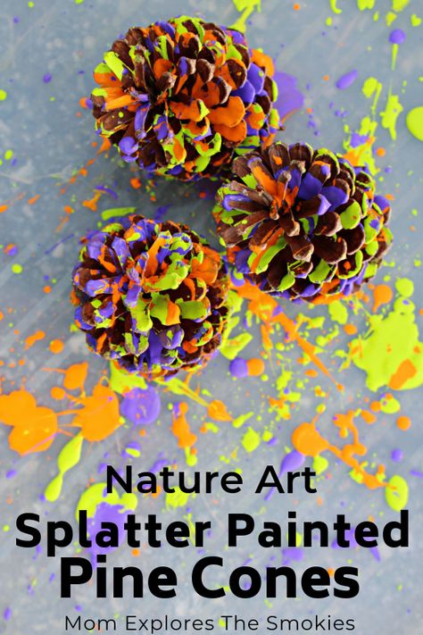 Nature Walk Preschool, Nature Crafts For Kids, Painted Pine Cones, Pinecone Art, Splatter Painting, Pinecone Crafts Kids, Penguin Crafts, Cone Crafts, Nature Craft