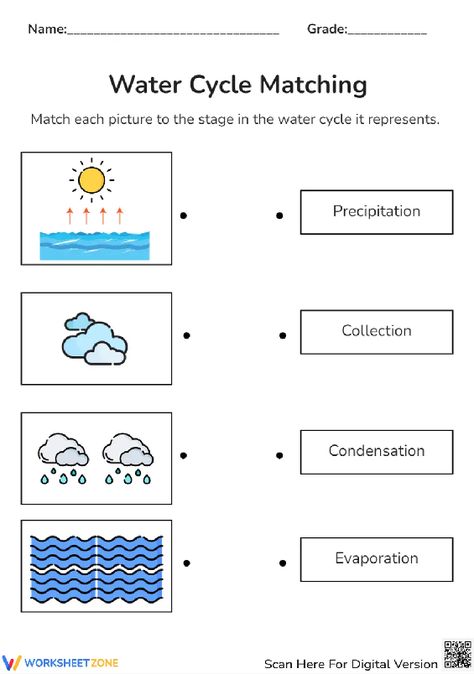 Explore the water cycle by matching pictures depicting words as they pair each stage of the water cycle with its name. Take this pdf and practice right now! #watercycle #science #matching #picturewordmatching #worksheet #printables #water #environment #diagrams #livingthings #pdfs Water Cycle Activities Middle School, Water Cycle Worksheet Kindergarten, Water Cycle For Kindergarten, The Water Cycle Worksheet, Water Cycle Game, Water Cycle Model, Kids Quiz Questions, Water Cycle Project, 100 Number Chart