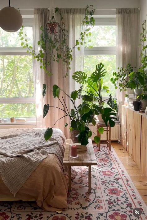 Indoor Jungle Bedroom, Jungle Bedroom, Bohemian Interiors, Indoor Jungle, Bohemian Interior, Plant Life, Future House, Indoor Plants, Dream House