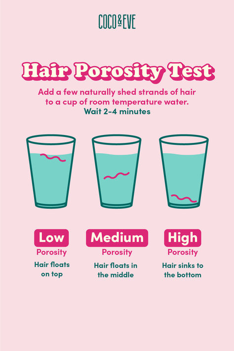 Hair porosity refers to your hair's ability to absorb and retain moisture. Whether it's low, medium or high porosity, we have the best solutions for you 💖 Porosity Test, Hair Porosity Test, Hairstyles With Curled Hair, Low Porosity Hair Care, Frizzy Wavy Hair, Low Porosity Hair, Low Porosity, Curled Hair, Healthy Hair Care