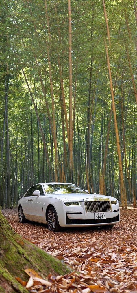 A Rolls-Royce is more than a motor car. It is a work of art, hand-made to order exclusively for you, by our team of highly skilled craftspeople and designers. Whatever you imagine your ideal motor car to be, bring your unique vision to life with Rolls-Royce Bespoke.
#rolls-royce #supercar #luxurycar #vipcar #v12 #sportscar #mostpowerfulcar #car #rich #miami
#rich Splendor Plus Bike Photo, Aesthetic Car Accessories, Rolls Royce Wallpaper, Moto Wallpapers, Tokyo Drift Cars, Hd Photography, Rich Cars, Luxury Cars Rolls Royce, Tokyo Drift