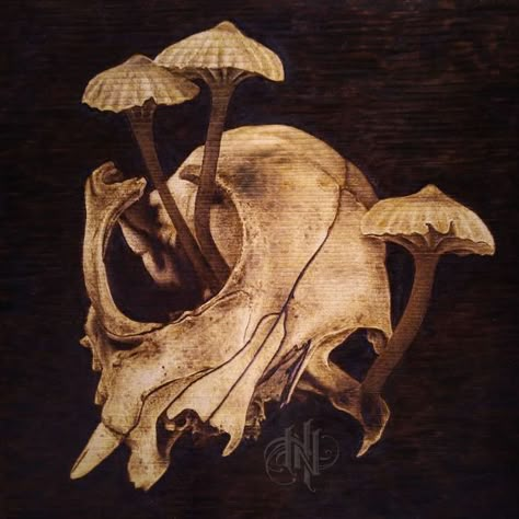 Skull And Mushrooms, Mushrooms Growing, Dog Skull, Skull Reference, Animal Skeletons, Arte Peculiar, Vulture Culture, Arte Van Gogh, Sculptures Céramiques