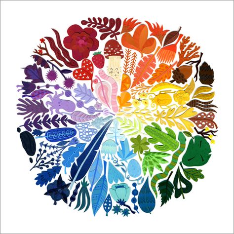 A Circle of Life (print), Jared Andrew Schorr Color Wheel Design, Color Wheel Art Projects, Color Wheel Projects, Color Wheel Art, Wheel Art, School Art Projects, Creative Colour, Middle School Art, Circle Of Life