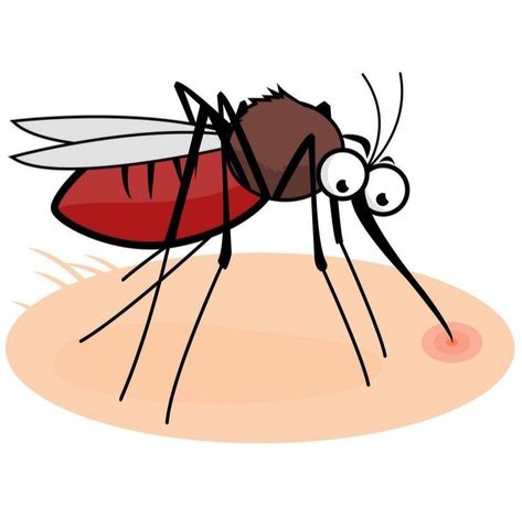 Sentra Balok, Mosquito Drawing, Cartoon Mosquito, Free Cartoon Characters, Cartoon Eyes, Cartoon Photo, Lifestyle Illustration, Free Cartoons, 2d Character