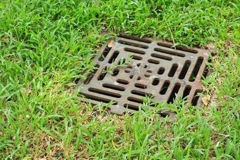 If your lawn looks like a swamp every time you get a heavy rain, you probably have drainage issues. Improve drainage around your home by installing drainage tiles. The project involves a lot of digging, but the results are well worth it. Yard Drain, Gutter Drainage, Landscape Drainage, Backyard Drainage, Yard Drainage, Drain Tile, Yard Area, Patio Slabs, French Drain