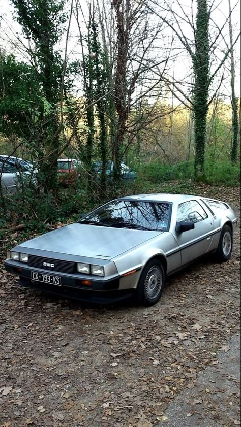 Dmc 12 Delorean, Delorean Dmc-12, Dmc Car, Delorean Car, Scirocco Volkswagen, Motor Mechanics, Irish Car, Dmc Delorean, Vw T1