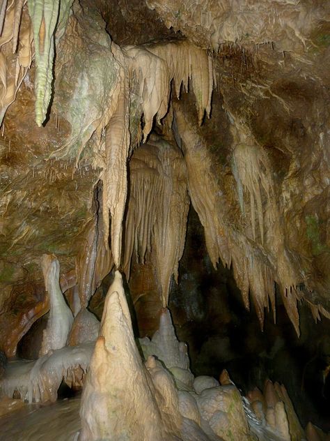 Stalactite Cave, Cave Photos, Cave City, Sea Cave, Landform, Carlsbad Caverns, Dragon's Lair, Caving, Sketch A Day