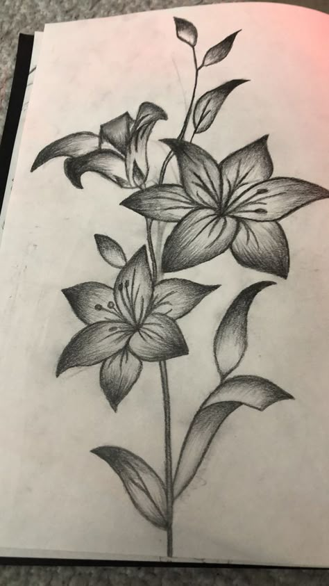 Shading Drawing Sketches Portraits, Shaded Flower Drawing, Daylillies Drawing, Pencil Art Drawings Aesthetic Easy Black, Flower Art Drawing Sketches Simple, Flower Collage Drawing, Art Sketches Pencil Creative Easy, Easy Things To Sketch For Beginners, Pencil Flower Drawings