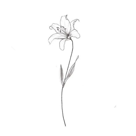 Small Lily Tattoo, Lilly Flower Tattoo, Narcissus Flower Tattoos, Tiger Lily Tattoos, Water Lily Tattoos, Lillies Tattoo, Lily Tattoo Design, Flower Spine Tattoos, Lily Flower Tattoos