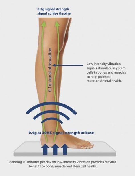 Whole Body Vibration Therapy for Osteoporosis and Bone Density Bone Density Exercises, Nerve Pain Remedies, Osteoporosis Exercises, Osteoporosis Prevention, Vibration Plate Exercises, Bone Healing, Increase Bone Density, Whole Body Vibration, Massage Therapy Techniques