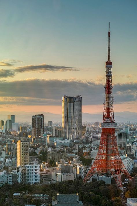 Birds Eye View City, Tokyo Skyline, Japanese Town, Japanese City, Tokyo Tour, Japan Landscape, Tokyo Skytree, Tokyo City, View Wallpaper