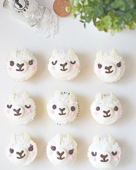 Vanilla bean + coconut alpaca-cuppycakes 💖 Inspired by the cutest alpaca themed cafe @bibbleandsip . Kept the pudding jar I got from the… Alpaca Cupcakes, Llama Cupcakes, Epic Cakes, Themed Cafes, Llama Birthday, Cactus Party, Cute Alpaca, Dessert Bar, Cute Cupcakes