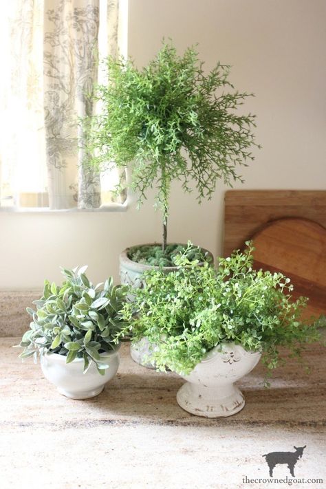 Quick & Easy 5 Minute Topiary - The Crowned Goat Faux Paperwhites, Spray Paint Wicker, Spring Diy Projects, Topiary Diy, Grow Garden, Topiary Plants, Types Of Herbs, Painted Wicker, Indoor Vegetable Gardening