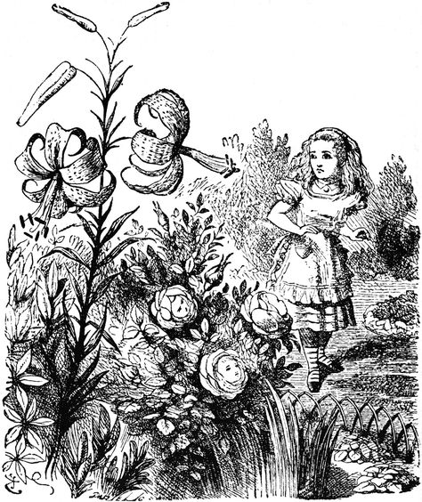 Tiger Lily Alice In Wonderland Original, Alice In Wonderland Illustrations, John Tenniel, Alice And Wonderland Quotes, Wonderland Quotes, Hans Christian, Lewis Carroll, Literature Art, Adventures In Wonderland