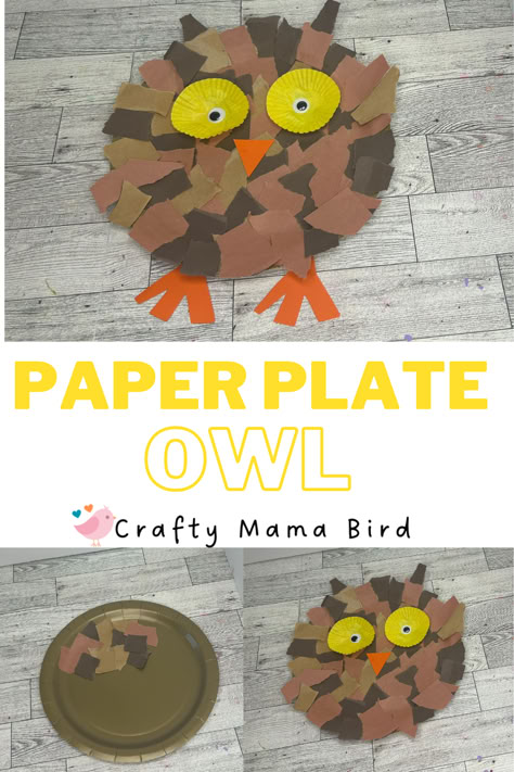 Create this easy paper plate owl after learning about the features of an owl.  Great way to read and research using nonfiction books.  Great activity for toddlers, preschoolers and elementary aged kids. Perfect for homeschool or classroom use. Owl Activities For Toddlers, Owl Craft Preschool, Paper Owl Crafts, Owl Craft, Activity For Toddlers, Paper Owls, Mama Bird, Owl Crafts, Nocturnal Animals