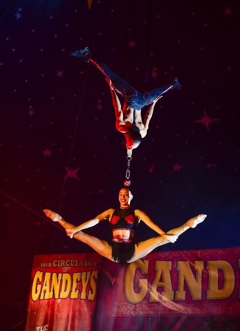 a duo hair hang Aerial Circus, Circus Aesthetic, Circus Acts, Aerial Acrobatics, Event Specialist, Aerial Dance, Aerial Hoop, Circus Art, Hair Pulling