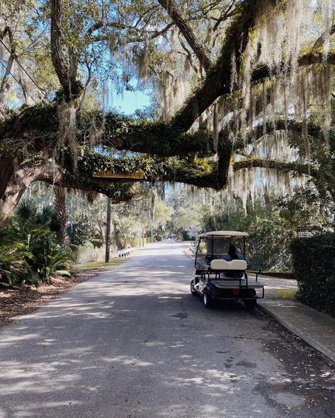 Litchfield Beach South Carolina, Beaufort South Carolina Aesthetic, Hilton Head Island South Carolina Photos, Lowcountry Aesthetic, Watercolor Prompts, South Carolina Living, South Carolina Aesthetic, Trip Manifestation, Seabrook Island South Carolina