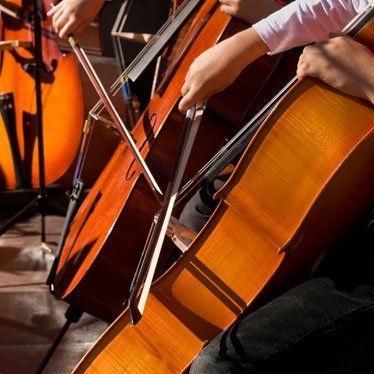 Starting to play the cello as an adult? Here are 10 cello compositions that will allow you to feel like a “real” cellist – even if you make mistakes now and then. Cello Tutorial, Cello Aesthetic, Cello Instrument, Cello Practice, Cello Lessons, Music Universe, Apps For Learning, Cello Sheet Music, Violin Lessons