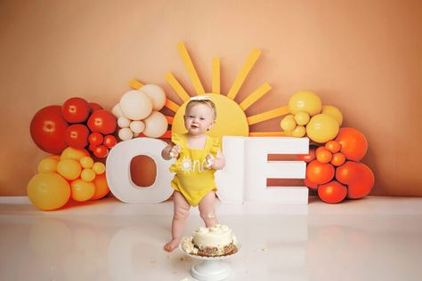 Books Diy, First Number, Cake Smash Backdrop, First Birthday Pictures, Fabric Photography, White Panel, 50th Party, Monthly Milestone, Baby Portraits