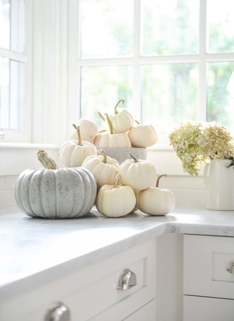 Countertop fall decor idea - display of white pumpkins in the kitchen | photographer Tracey Ayton White Fall Decor Ideas, Wildflower Cottage, Coastal Fall, Modern Fall Decor, Fall Cottage, Fall Decorating Ideas, Fall Decor Inspiration, Fall Thanksgiving Decor, Modern Fall