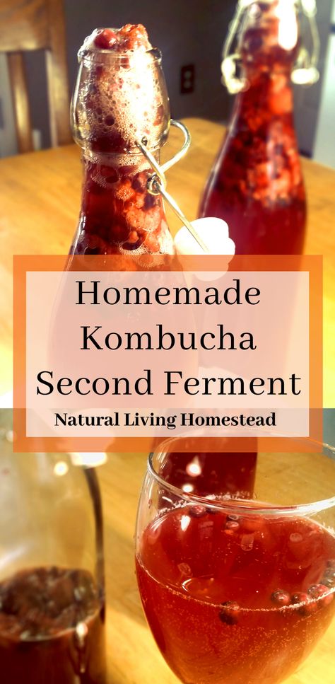 Second Ferment Kombucha, Kombucha Mother, Jun Kombucha, Pom Juice, Kombucha Starter, Kombucha Flavors, Homemade Kombucha, Kombucha Recipe, Raw Juice