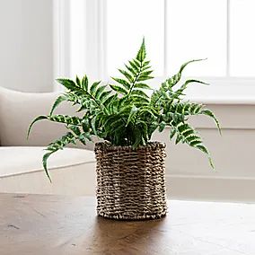 Artificial Orchids, Wood Plant Stand, Dried Bouquet, Artificial Flowers And Plants, Bristol Board, Trailing Plants, Pink Vase, Artificial Leaf, Work Room