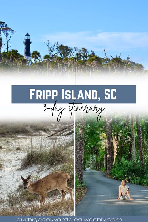 3-Day Fripp Island Itinerary - OurBigBackyard Fripp Island Sc, Visit South Carolina, South Carolina Beach, Fripp Island, South Carolina Travel, Southern Travel, North America Travel Destinations, Usa Bucket List, East Coast Travel