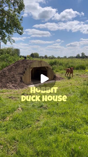 Jess Gough on Instagram: "Any name suggestions for the ducks? 😅 

Here’s how we built our hobbit-inspired duck home. We cut some reclaimed plywood into a semi-circle shape and fixed to a square frame built from recycled timber. We added roof joists and a bendy piece of plywood over the top before covering it with a waterproof membrane. Then we added a chimney for ventilation. 

We moved it into position, which was quite a challenge, and put it on paving slabs. We then dug the duck pond and used the spoil from the pond to cover the house in soil. We’ve sown a wildflower & grass mix onto the house which should grow over the next few weeks. We clad the front with recycled wood and added a door - a human door with a smaller duck door in the middle. In the meantime we have filled the duck pond Sand In Duck Coop, Duck Farming Ideas, Winter Duck House, Duck Coop Ideas Backyards, Turkey Coop Ideas, Duck House Ideas, Front Yard Pond, Diy Duck House, Duck Pond Ideas