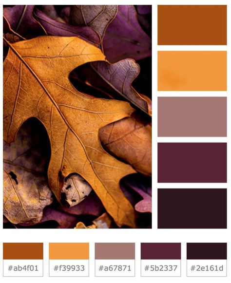 color story 01 Color Harmony Combination, Rust And Plum Color Schemes, Color Pallet Character Design, Fall Color Palette With Purple, Halloween Color Palette 2023, September Color Scheme, Samhain Color Palette, Fall Wedding Color Palette November, Fall Floral Color Palette