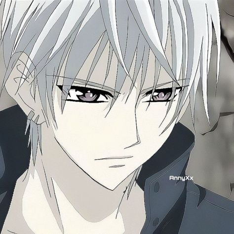 Zero Kiryu Icon, Zero Vampire Knight Icon, Albino Vampire, Zero Vampire Knight, Vampire Knight Zero, Knight Anime, Vampire Knight Kaname, Zero Kiryu, Vampire Knights