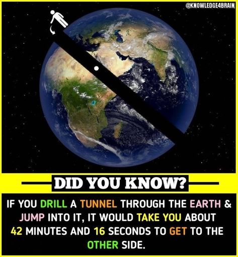 Unbelievable Facts Did You Know, Science Facts Mind Blown, Facts About Earth, Wierd Facts, Physiological Facts, Astronomy Facts, Psychological Facts Interesting, Fun Facts About Life, Interesting Science Facts