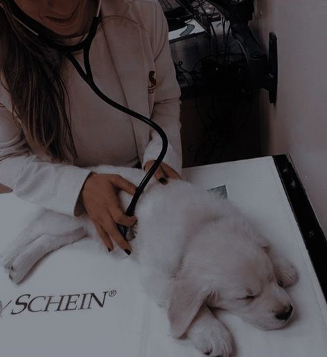 Aesthetic Vet Pictures, Vet Pictures, Vet School Motivation, Vet Tech School, Vet Technician, My Dream Job, Veterinary School, Vet Medicine, My Future Job