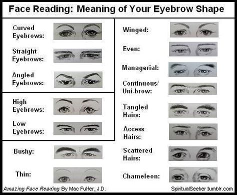 eyebrow types Chinese Face Reading, Types Of Eyebrows, Straight Eyebrows, Bentuk Alis, Shape Meaning, Arched Eyebrows, Face Reading, Writing Characters, Eyebrow Shape