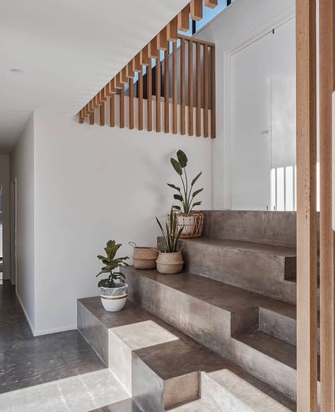 J E S S   O ' S H E A on Instagram: “|| Absolutely in love with these split level concrete steps by @zephyr.industries 🖤 And the detailing of the timber balustrading 🖤 Serious…” Split Level House, Hallway Design, Concrete Steps, Split Level, House And Home Magazine, Luxury Real Estate, Modern Architecture, S S, Luxury Homes